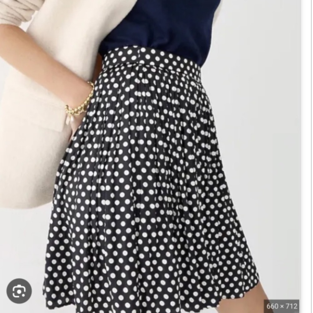 NWT J. Crew Pleated Flare Skirt